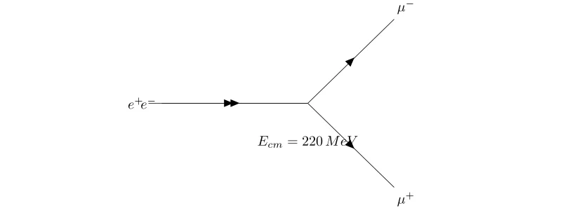 Analyse de l'Interaction Leptonique