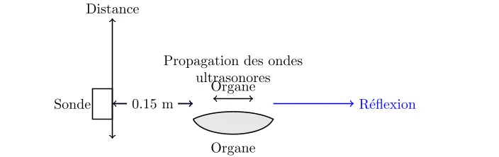 Étude des Ondes Ultrasonores