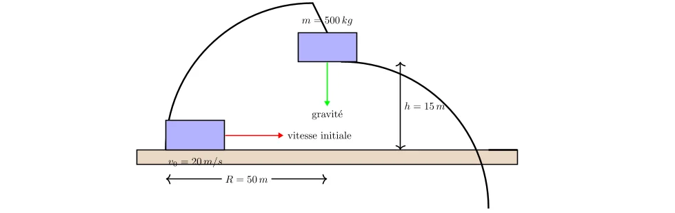 Application des Principes de Newton