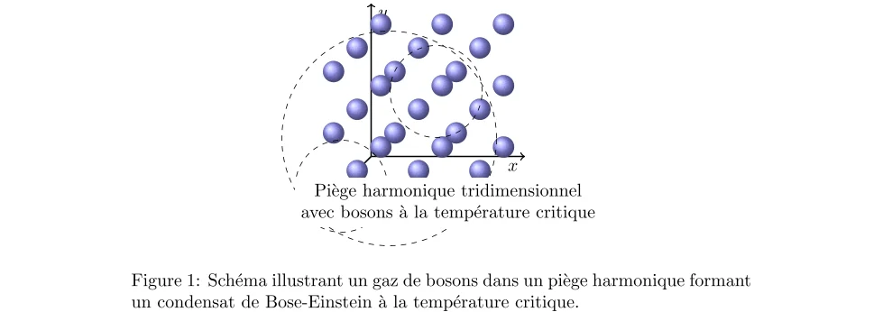 Étude du Condensat dans Piège Harmonique